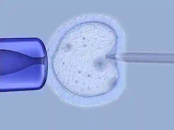 天津当多元家庭拥抱新生命：解锁 “彩虹生子” 的温暖密码