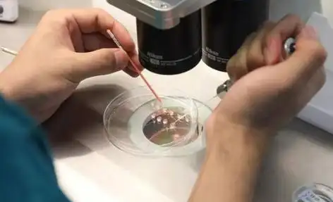 天津打破偏见的生命礼赞：同性生子背后的爱与坚守